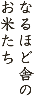 なるほど舎のお米たち